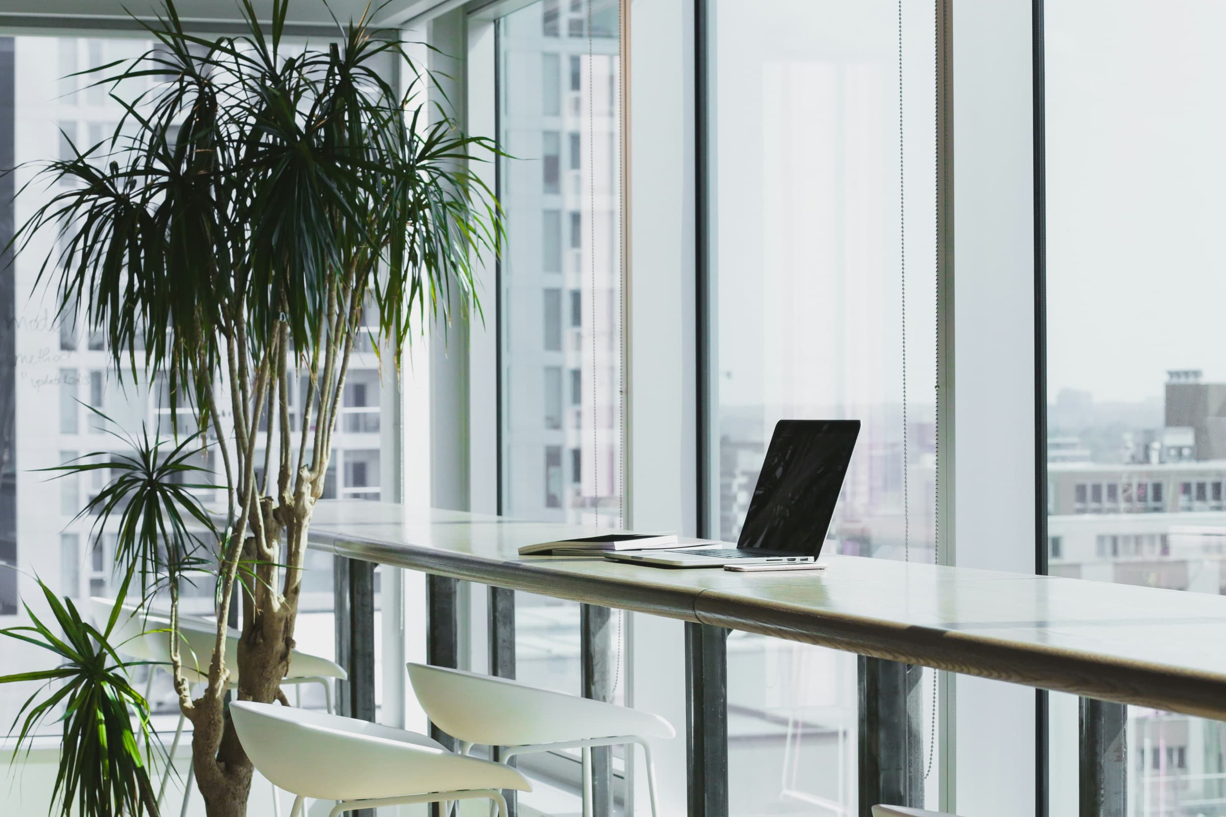 Helles Büro mit Fensterfront, Pflanze und Laptop